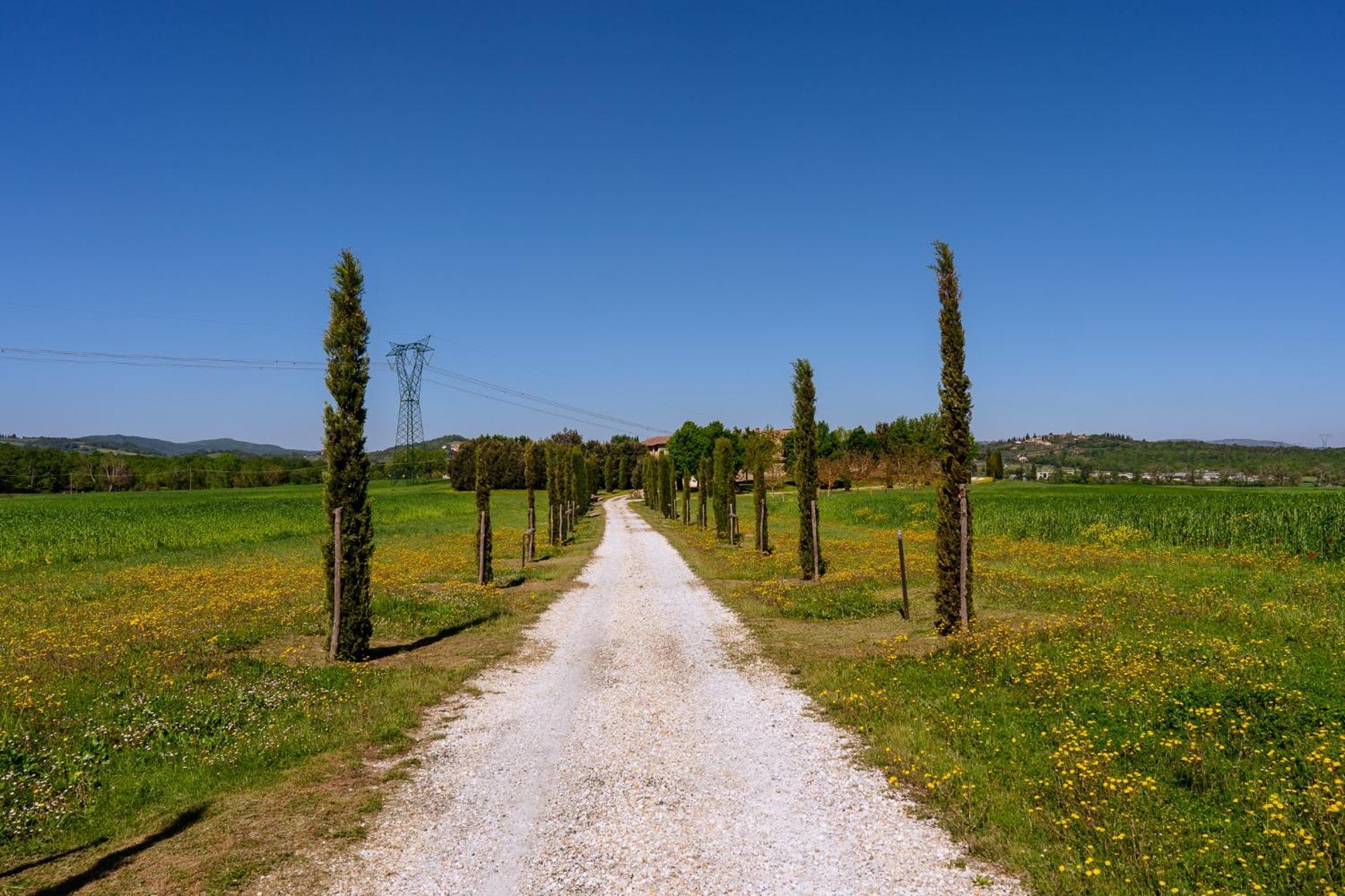 Villa Le Beringhe - Wine Pool & Relax コッレ・ヴァル・デルザ エクステリア 写真